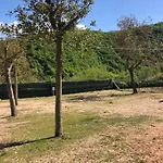 Ollyfarm 3*