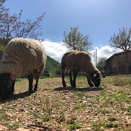 Ollyfarm Panzió 3*