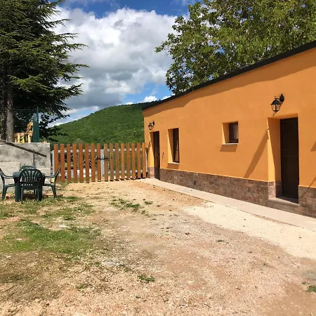 Ollyfarm 3*