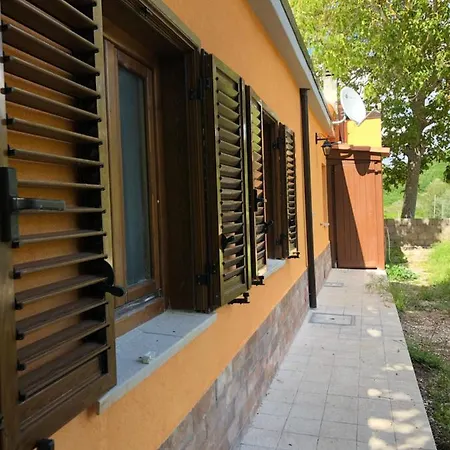 Ollyfarm 3*