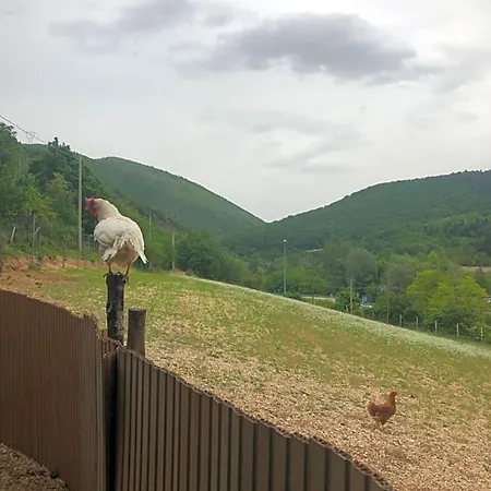 Ollyfarm فندق مبيت وإفطار