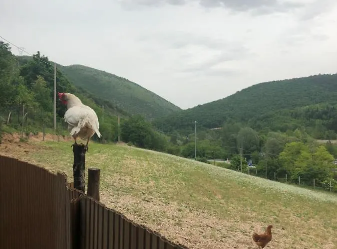 住宿加早餐酒店 Ollyfarm 3*